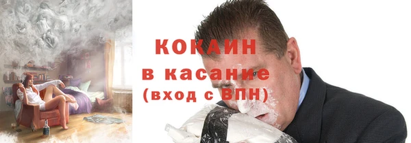 твердый Алзамай