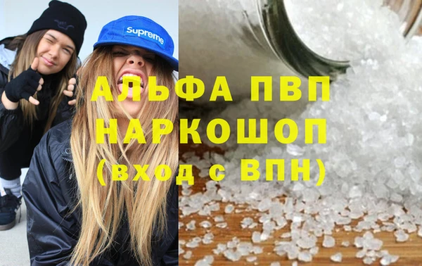 гашик Абаза
