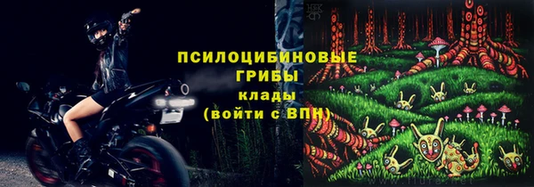 твердый Алзамай