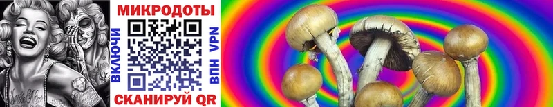 Псилоцибиновые грибы Psilocybine cubensis  цена   Тверь 