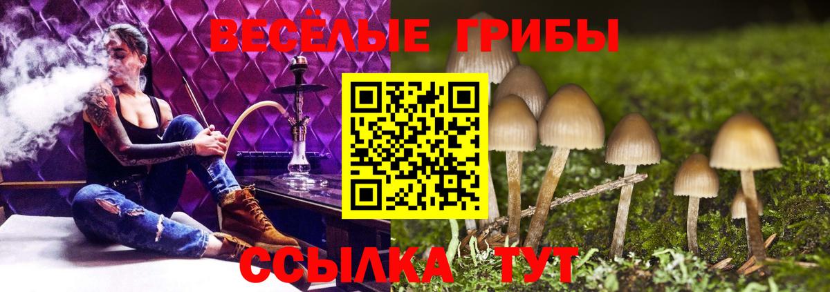 Галлюциногенные грибы прущие грибы Тверь