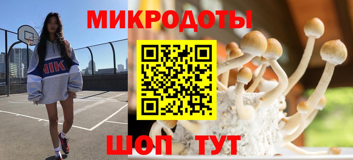Псилоцибиновые грибы Cubensis  Псилоцибиновые грибы Psilocybine cubensis  Тверь  Вход с VPN 