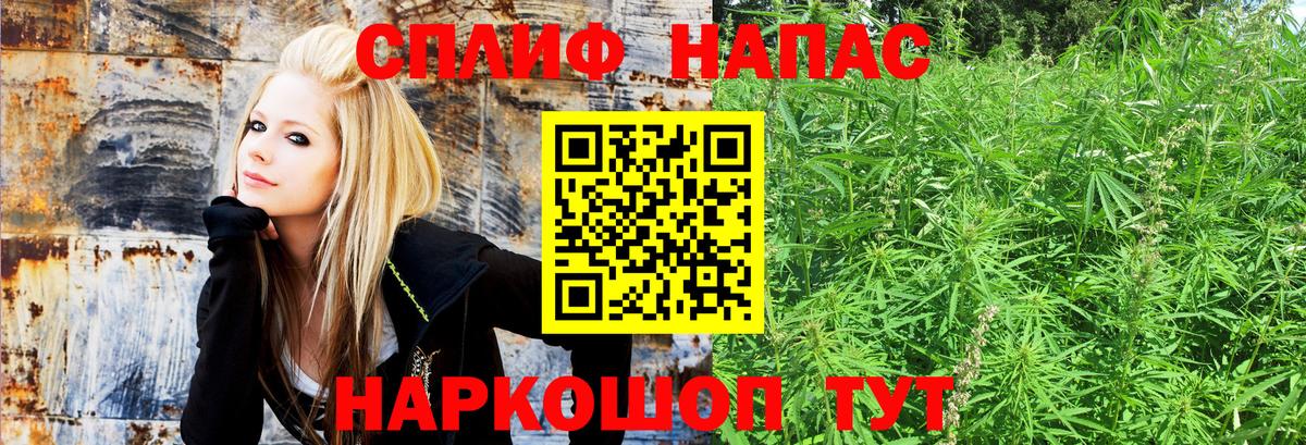 Шишки марихуана VHQ Тверь